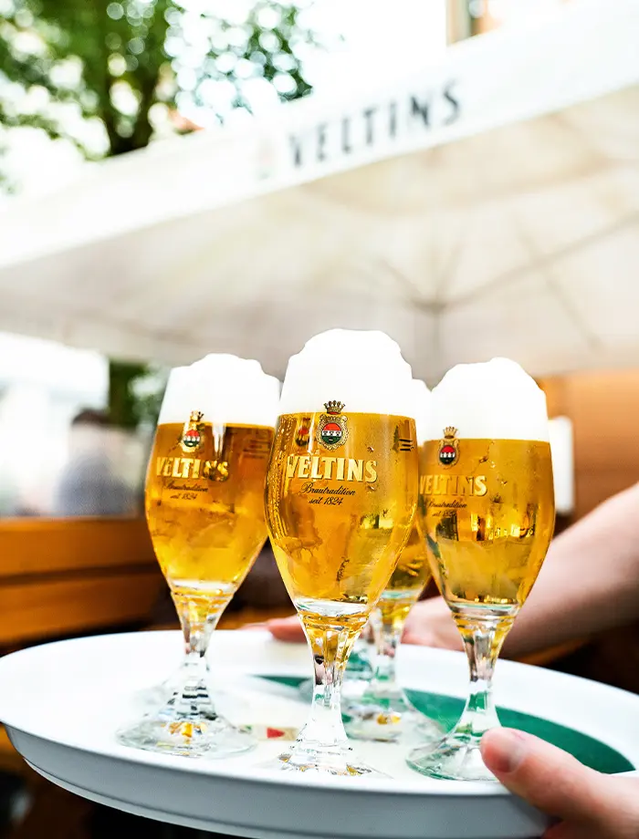 Downloads Broschüren